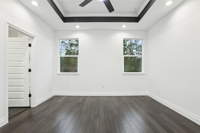 empty room with dark hardwood / wood-style floors, a tray ceiling, and a wealth of natural light