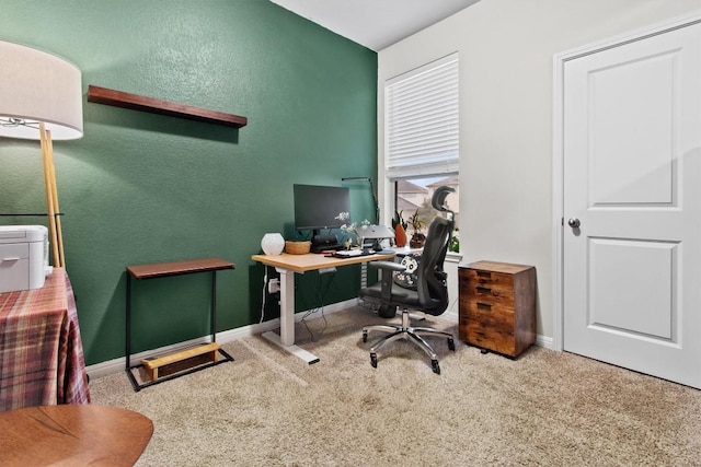 office space featuring carpet flooring