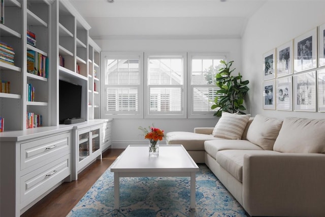 living room featuring dark hardwood / wood-style floors