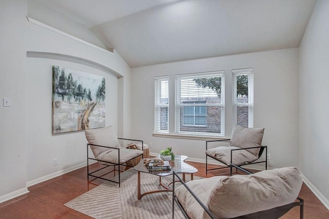 living area with vaulted ceiling and dark hardwood / wood-style floors