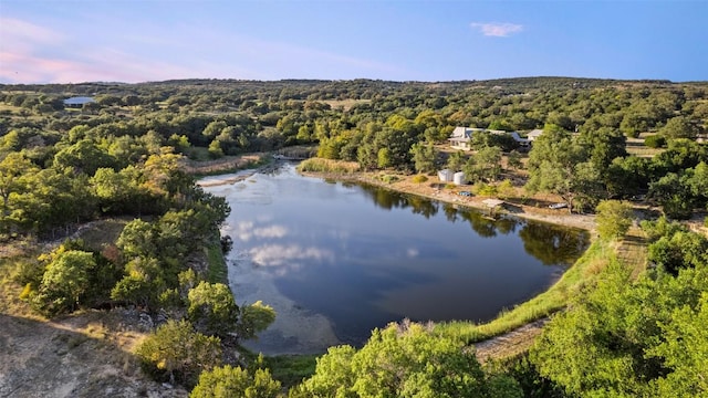 4495 W US-290 Hwy, Dripping Springs TX, 78620 land for sale