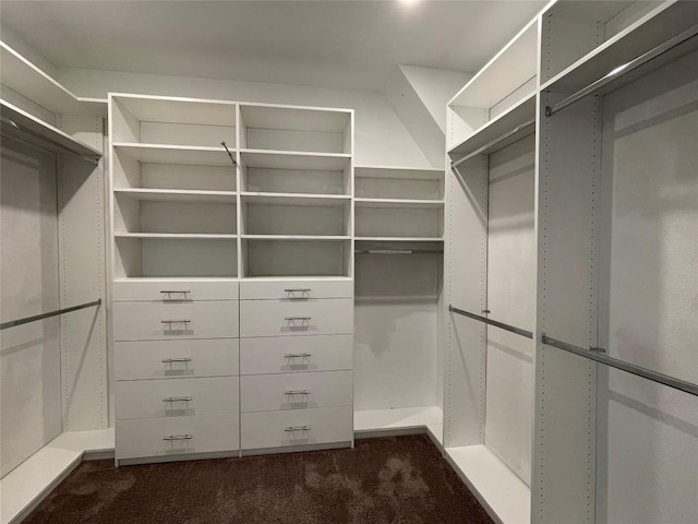 spacious closet featuring dark colored carpet