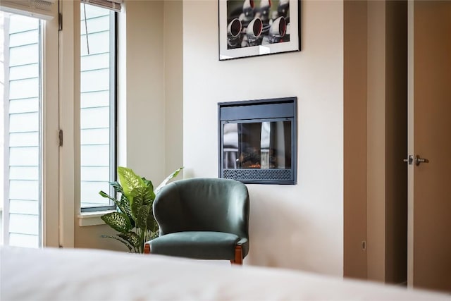 1109 Holly St Unit B, Austin, TX 78702 - bedroom featuring a glass covered fireplace