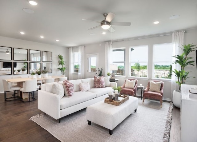 living room with ceiling fan and dark hardwood / wood-style floors