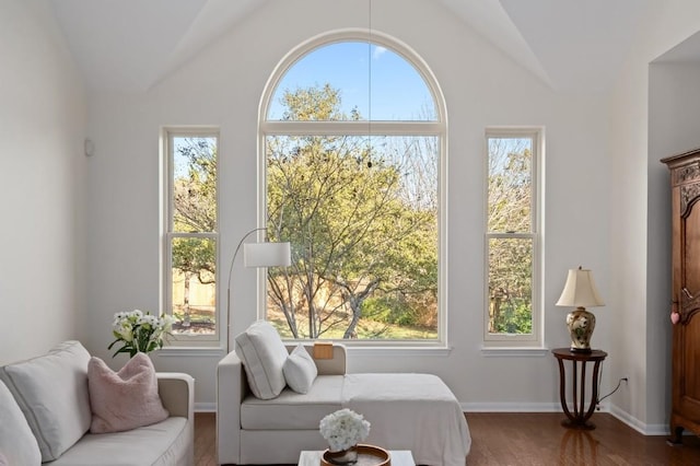 living area featuring vaulted ceiling and wood-type flooring