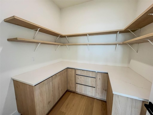 spacious closet featuring light hardwood / wood-style flooring