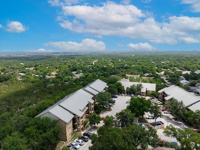 bird's eye view