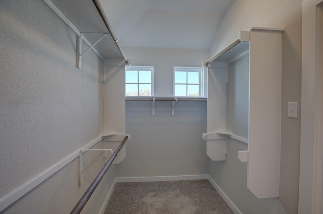 spacious closet with carpet flooring