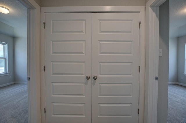 details featuring baseboards and carpet floors