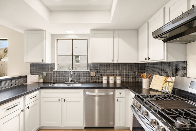 kitchen with white cabinetry, appliances with stainless steel finishes, a raised ceiling, and sink