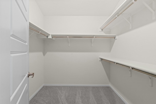 walk in closet with carpet