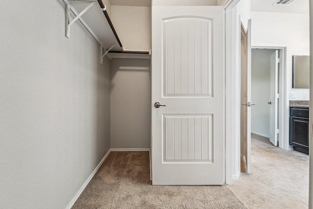10017 Pinnacle Crest Loop, Austin, TX 78747 - walk in closet with light colored carpet
