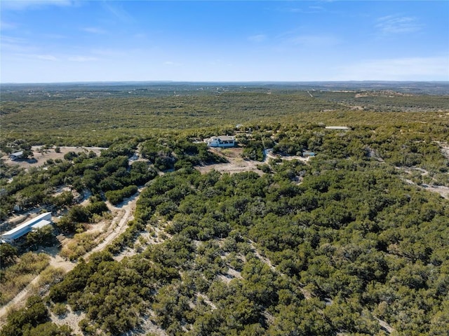 1821 Overland Stage Rd, Dripping Springs, TX 78620 - drone / aerial view of a forest