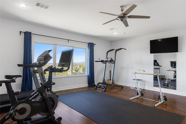 1821 Overland Stage Rd, Dripping Springs, TX 78620 - exercise area with baseboards, wood finished floors, ceiling fan, and recessed lighting