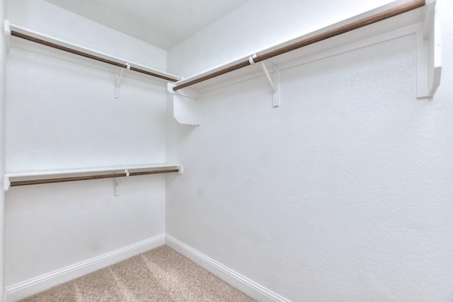 walk in closet featuring carpet flooring