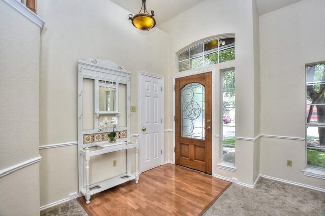 entrance foyer featuring hardwood / wood-style floors and a high ceiling