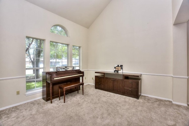 miscellaneous room with light colored carpet, high vaulted ceiling, and a wealth of natural light