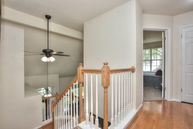 123 Parque Vista Dr, Georgetown, TX 78626 - staircase featuring wood finished floors, ceiling fan, and baseboards