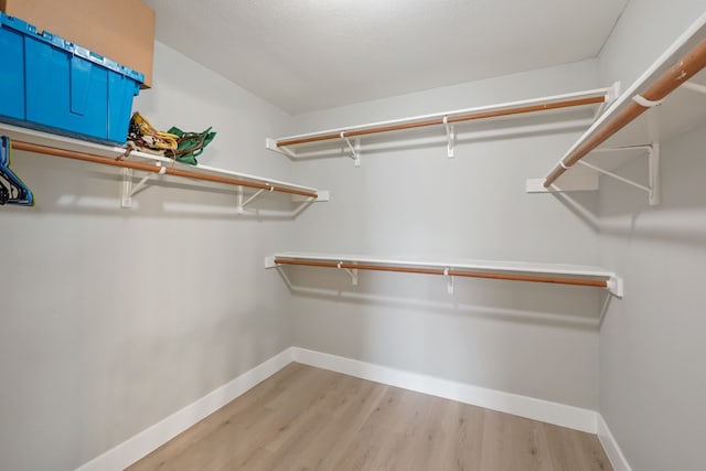 spacious closet with light wood-type flooring