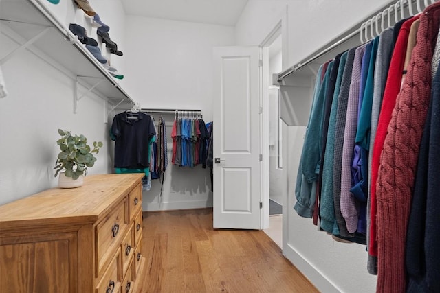 113 University Lands Dr, Liberty Hill, TX 78642 - spacious closet with light wood finished floors