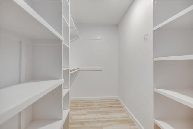 spacious closet featuring light wood-type flooring