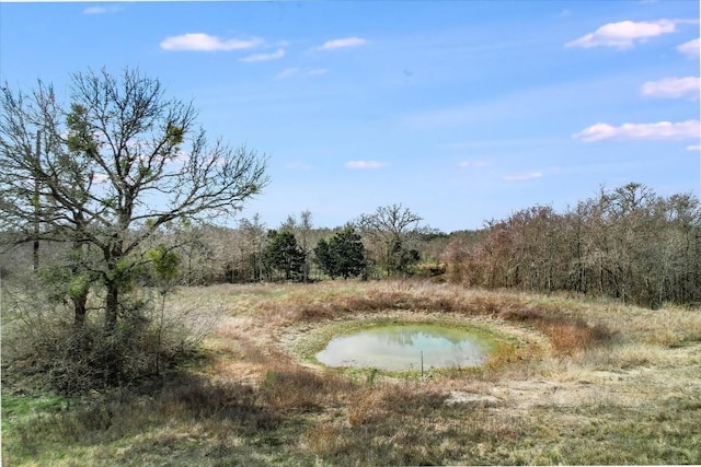 00 Mcdonald Ln, Bastrop, TX 78612