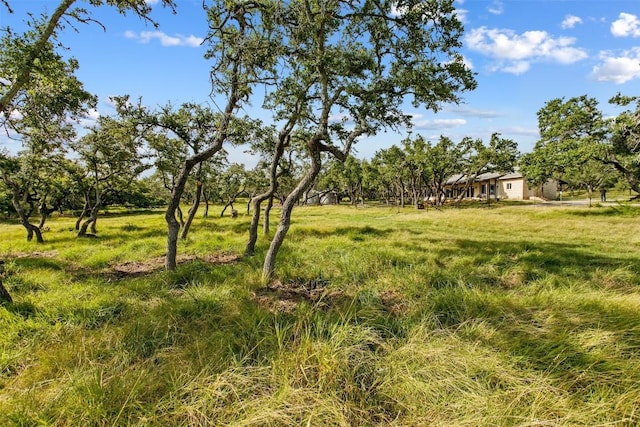 view of yard with a rural view