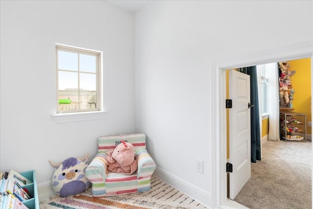 312 Olinda Way, Liberty Hill, TX 78642 - playroom with baseboards and carpet