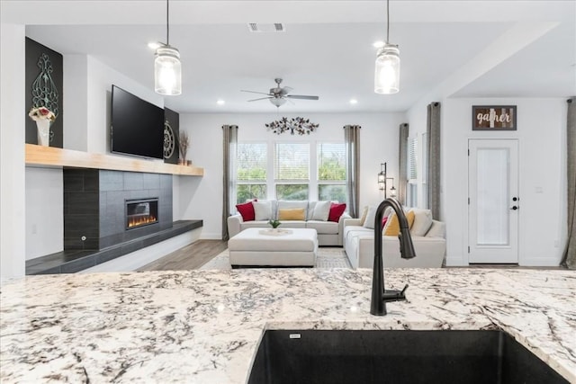 312 Olinda Way, Liberty Hill, TX 78642 - living room featuring a fireplace, wood finished floors, baseboards, visible vents, and ceiling fan