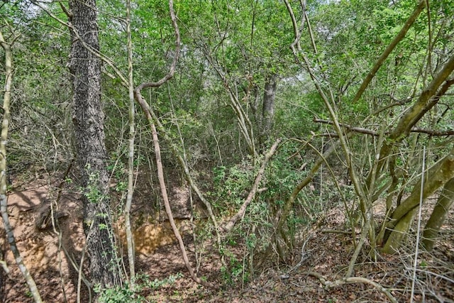 7664 Fm 141, Dime Box, TX 77853