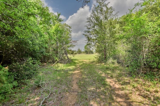 7664 Fm 141, Dime Box, TX 77853