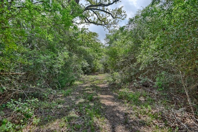 7664 Fm 141, Dime Box, TX 77853