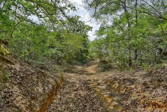 7664 Fm 141, Dime Box, TX 77853