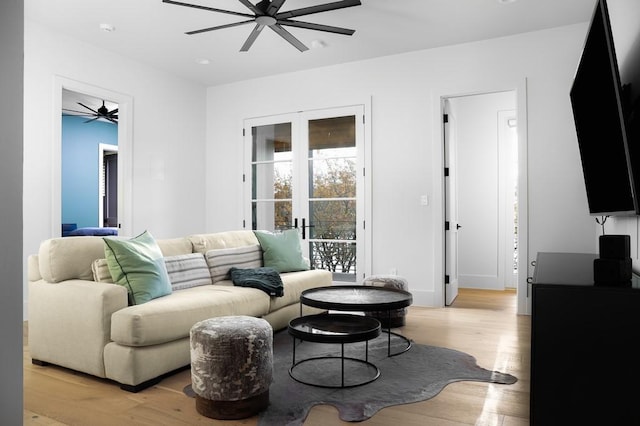 living room with ceiling fan and light wood-type flooring