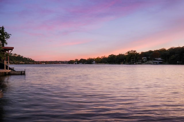 water view featuring a boat dock