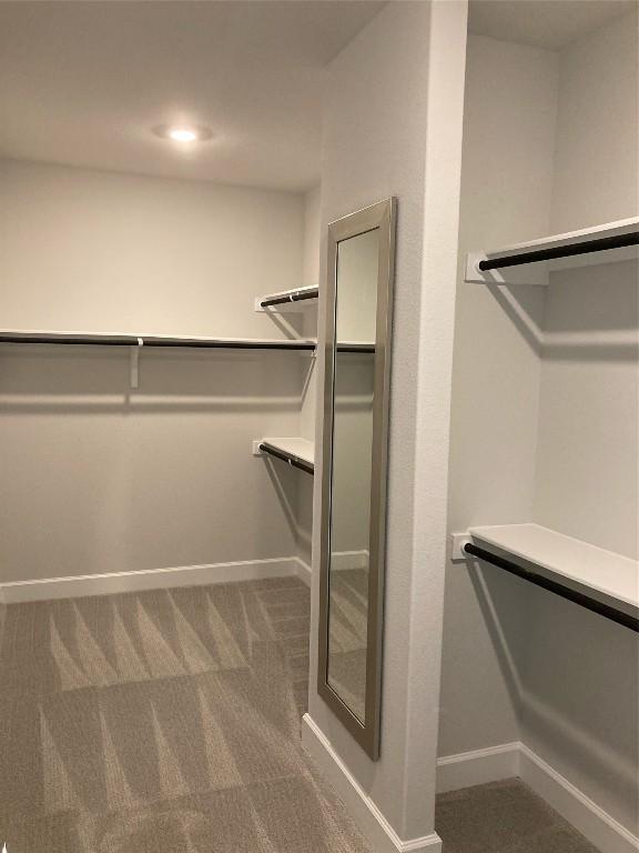 spacious closet with dark colored carpet