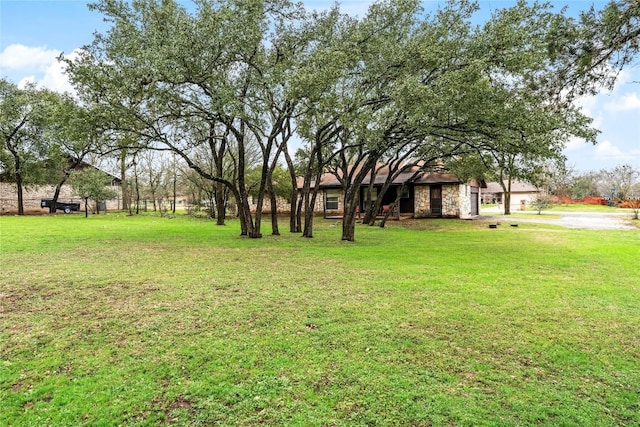 905 Bluebird Dr, Manchaca, TX 78652 - photo 38