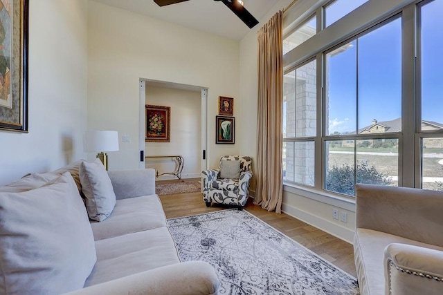 living room with a wealth of natural light, light hardwood / wood-style flooring, and ceiling fan