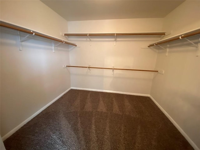 walk in closet with carpet floors