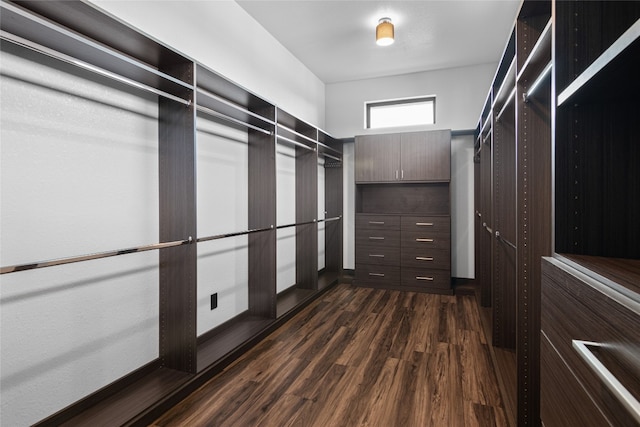 walk in closet featuring dark wood-type flooring