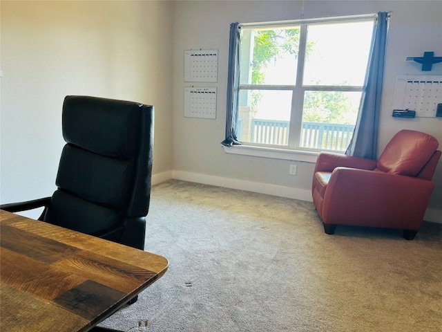 view of carpeted home office