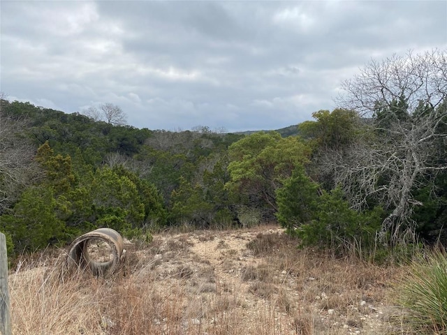 184 Jeanette Cir, Canyon Lake, TX 78133