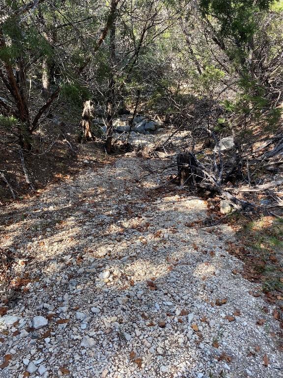 184 Jeanette Cir, Canyon Lake, TX 78133