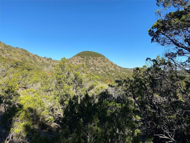 184 Jeanette Cir, Canyon Lake, TX 78133
