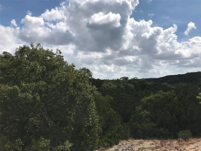 184 Jeanette Cir, Canyon Lake, TX 78133