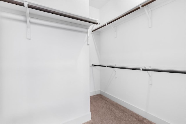 2211 Capulet St, Austin, TX 78741 - spacious closet with light colored carpet