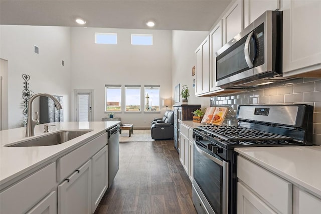 116 Big Cypress Bayou Rd, Hutto, TX 78634 - kitchen featuring stainless steel appliances, a sink, light countertops, a towering ceiling, and dark wood finished floors