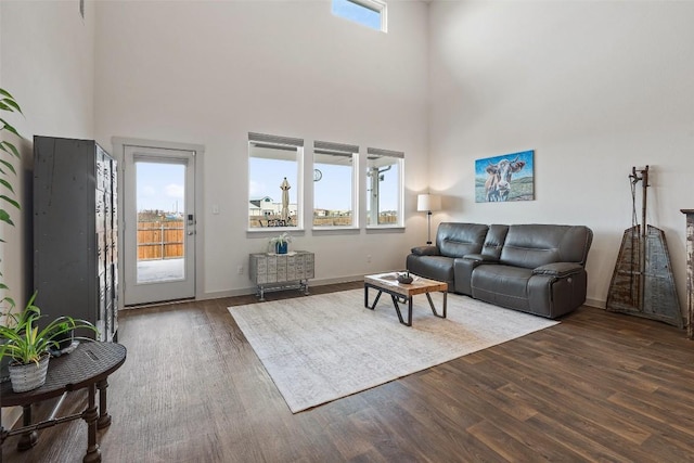 116 Big Cypress Bayou Rd, Hutto, TX 78634 - living area featuring a high ceiling, wood finished floors, and baseboards