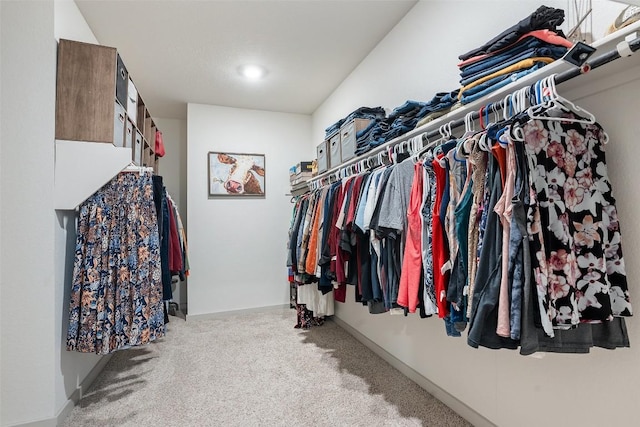116 Big Cypress Bayou Rd, Hutto, TX 78634 - spacious closet with carpet