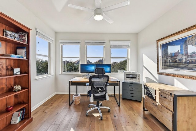 office featuring ceiling fan and light hardwood / wood-style flooring